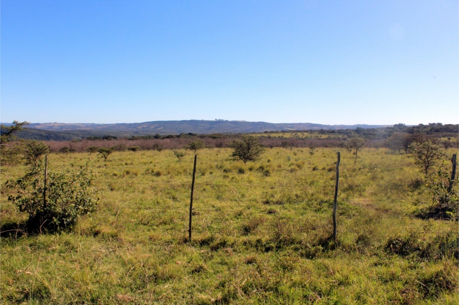 5 Bedroom Property for Sale in Mooiplaas Eastern Cape